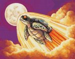 (image for) Song of the Space Turtle